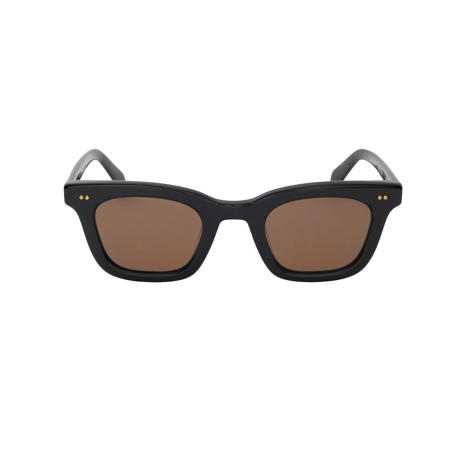 STUSSY: Ace Sunglasses (Black / Brown Lens) | DSMG E-SHOP