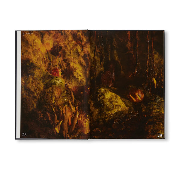 BIBLIOTHECA - Horror Caviar: A Cookbook