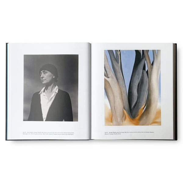 BIBLIOTHECA - Living Modern