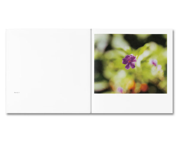 BIBLIOTHECA - Bounty