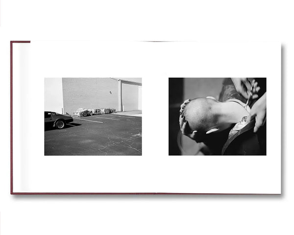 BIBLIOTHECA - Viscin by Yorgos Lanthimos