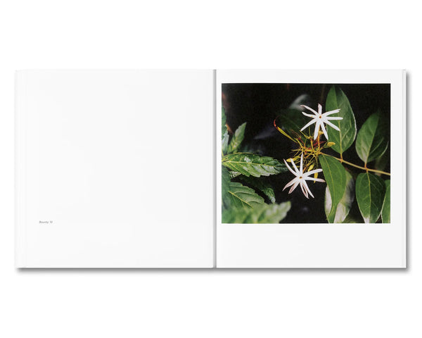 BIBLIOTHECA - Bounty