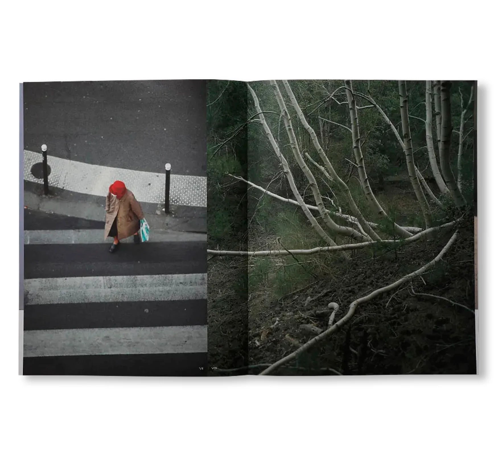 A Magazine #21 - Lucie and Luke Meier 新品 A Magazine ＃21 Curated by Lucie and Luke Meier | nostos books