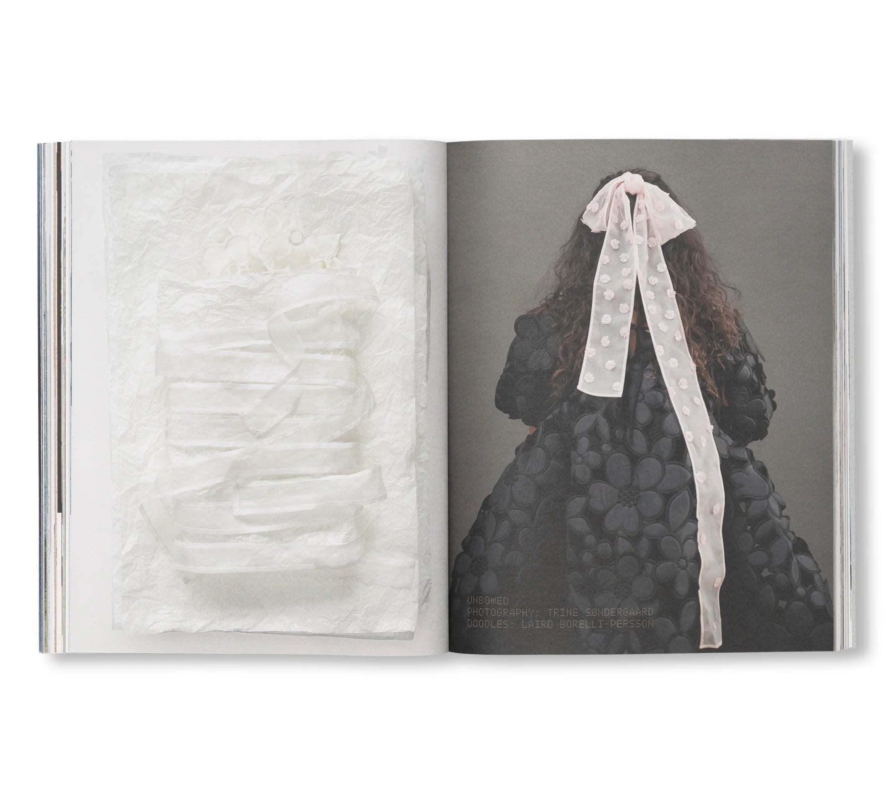 A MAGAZINE #6　CURATED BY 　ヴェロニク・ブランキーノ A Magazine ＃6 Curated by Veronique Branquinhoo | nostos books