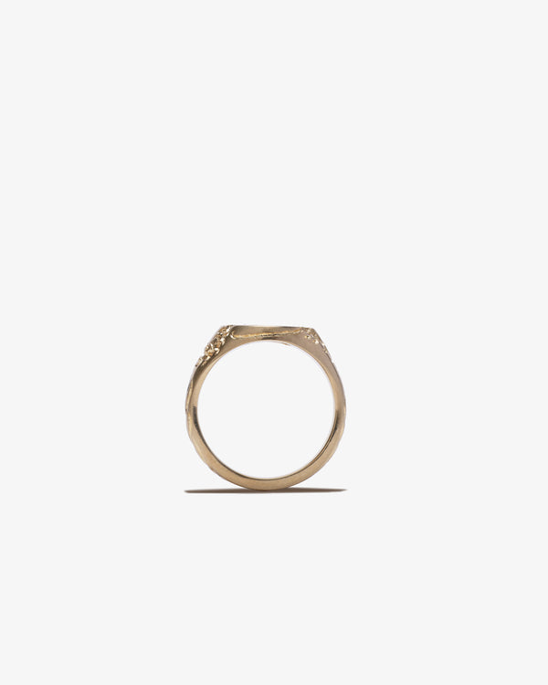 CASTRO - Applecore Mini Signet - (Gold)