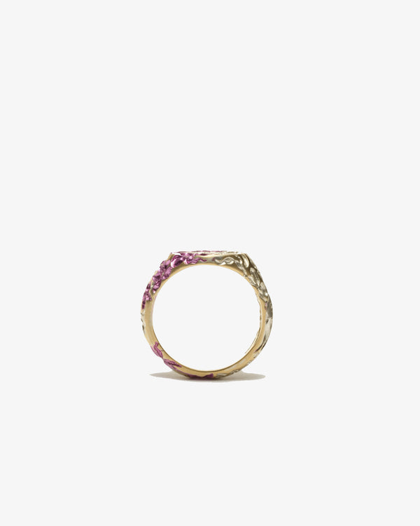 CASTRO - Orchid Signet - (Multi)