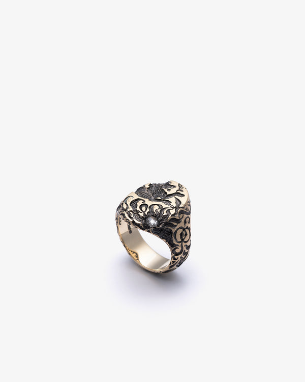 CASTRO - Aslan Signet Ring - (Multi)
