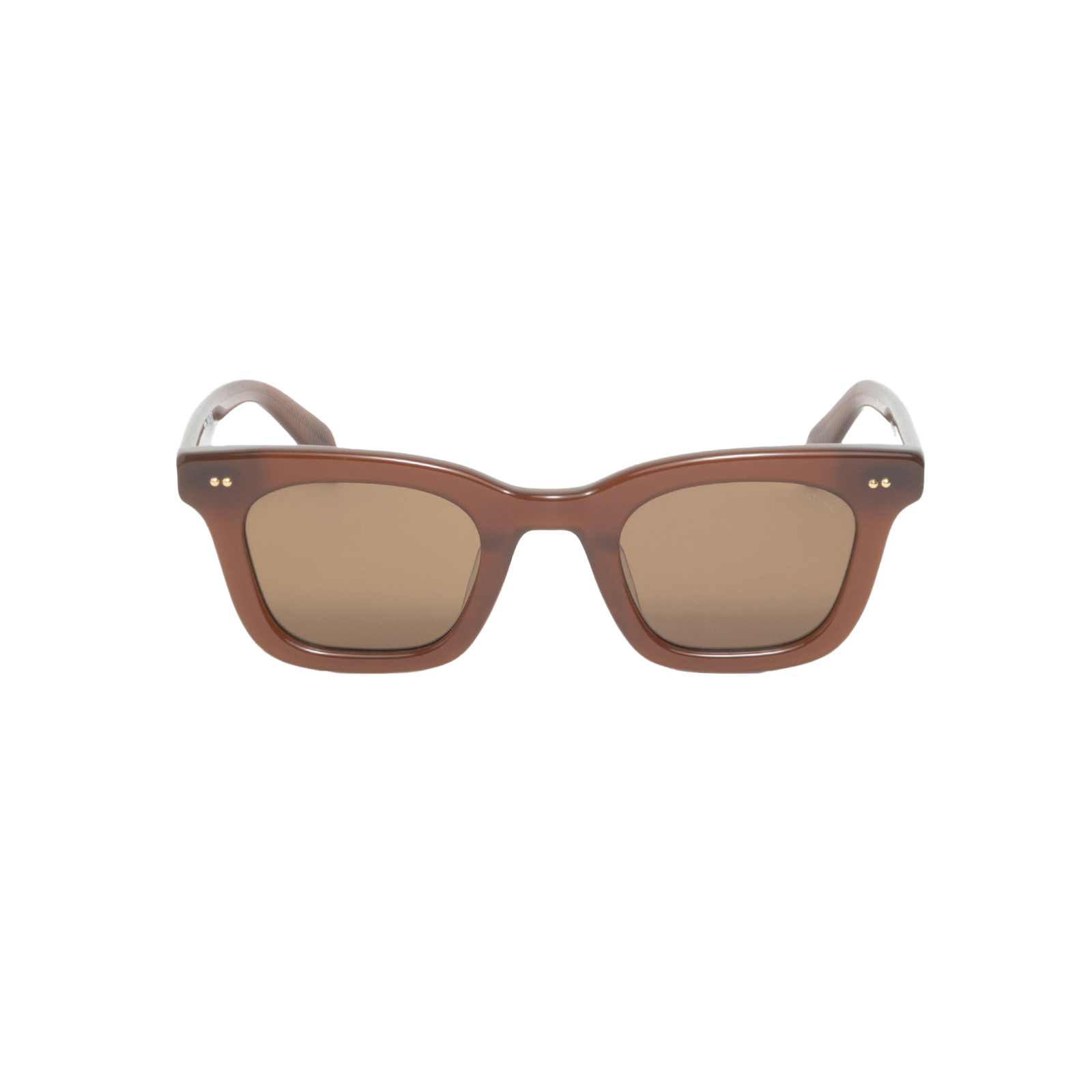 STUSSY: Ace Sunglasses (Dbbl) | DSMG E-SHOP