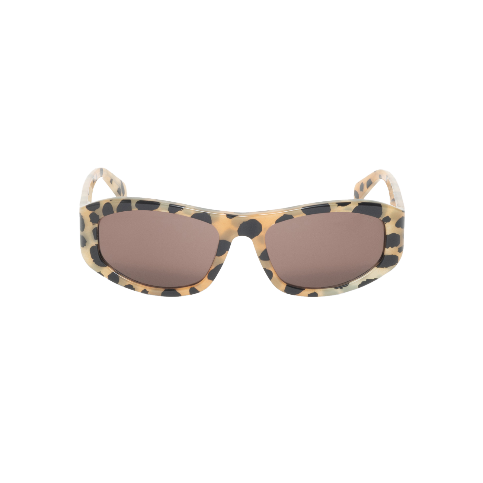 STUSSY: Landon Sunglasses (Chbr) | DSMG E-SHOP