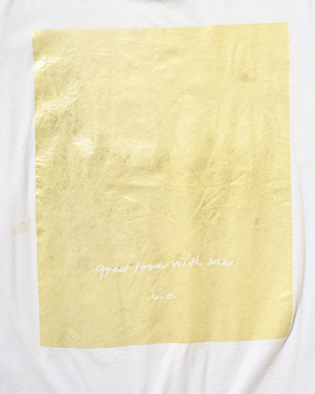 WEBER: 00S Visionaire × Gap 