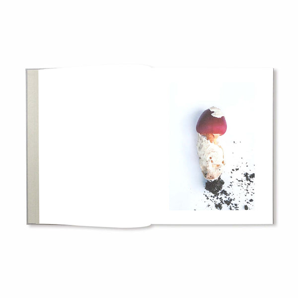 BIBLIOTHECA - Symphony その森の子供 [Hardcover] - (PO225)