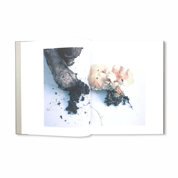BIBLIOTHECA - Symphony その森の子供 [Hardcover] - (PO225)