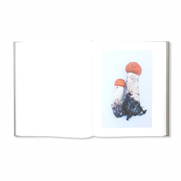 BIBLIOTHECA - Symphony その森の子供 [Hardcover] - (PO225)