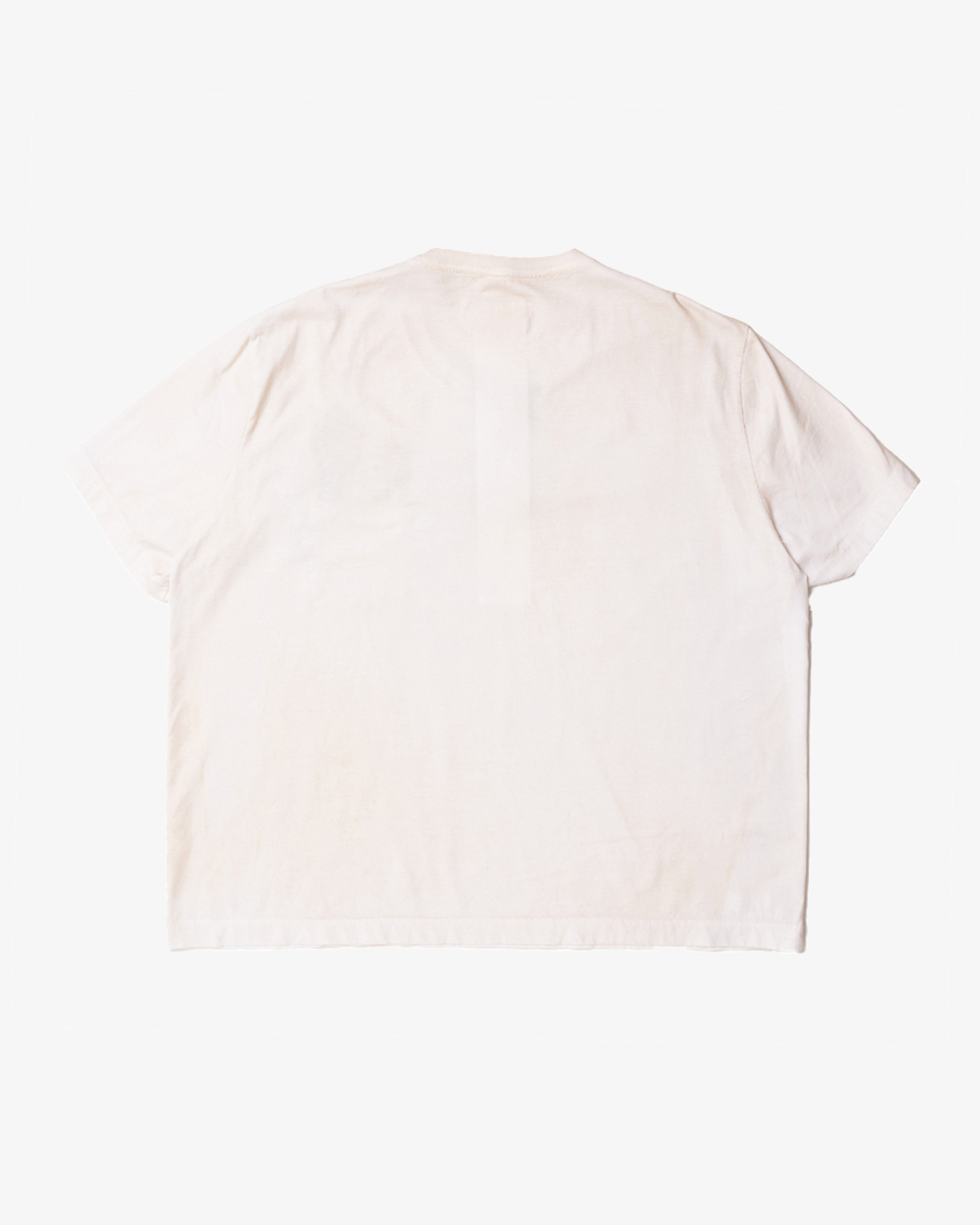 What's New | DSMG E-SHOP