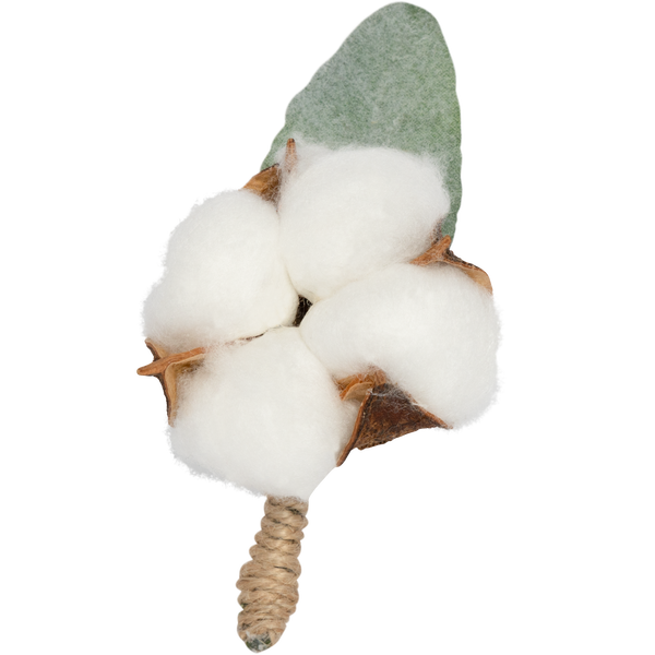 DENIM TEARS - Cotton Boutonniere - (White)