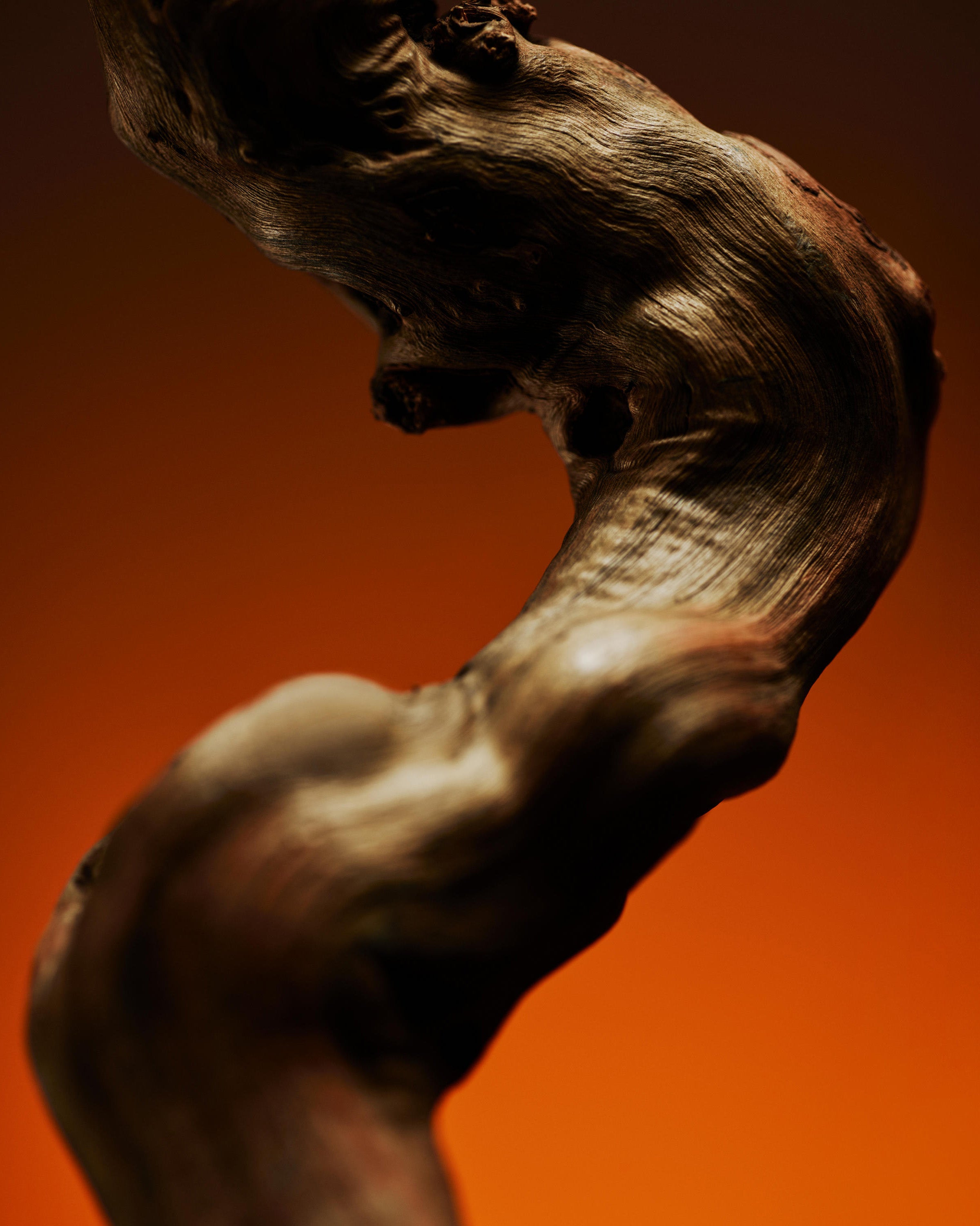 BYREDO: EAU DE PARFUM (DESERT DAWN) | DSMG E-SHOP