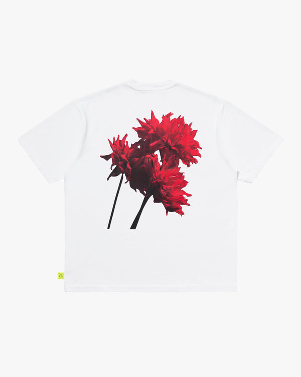 LOOSE JOINTS - Tender Flowers - (White)