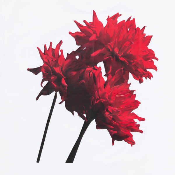 LOOSE JOINTS - Tender Flowers - (White)
