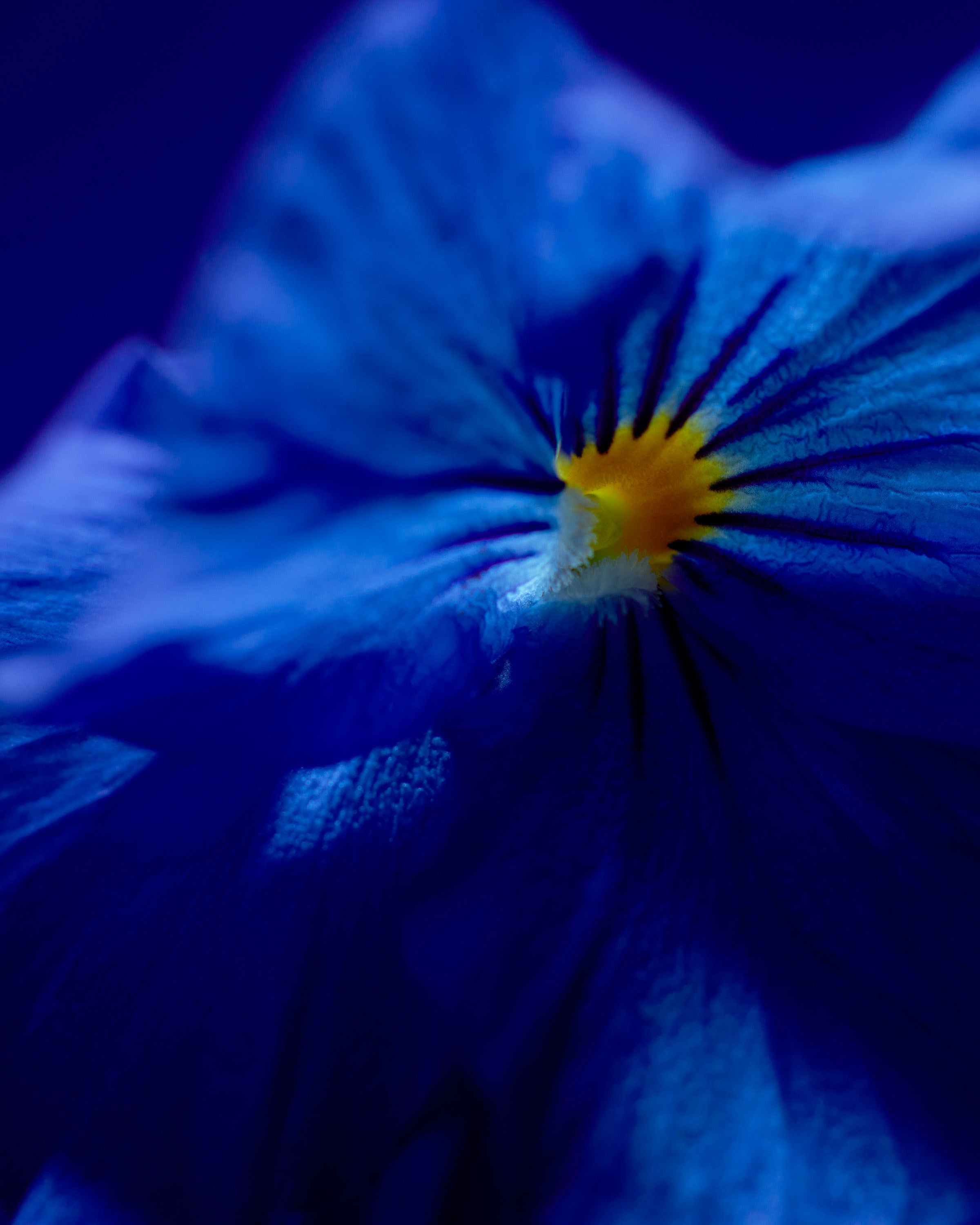 BYREDO MOJAVE GHOST 写真集 BYREDO MOJAVE GHOST 写真集 BYREDO MOJAVE GHOST 写真集 BYREDO