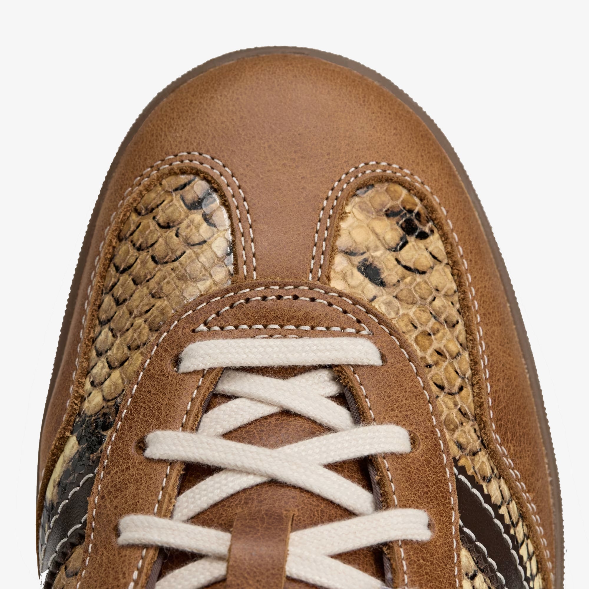 ADIDAS x Wales Bonner: Wb Gazelle Snake (Lust) | DSMG E-SHOP
