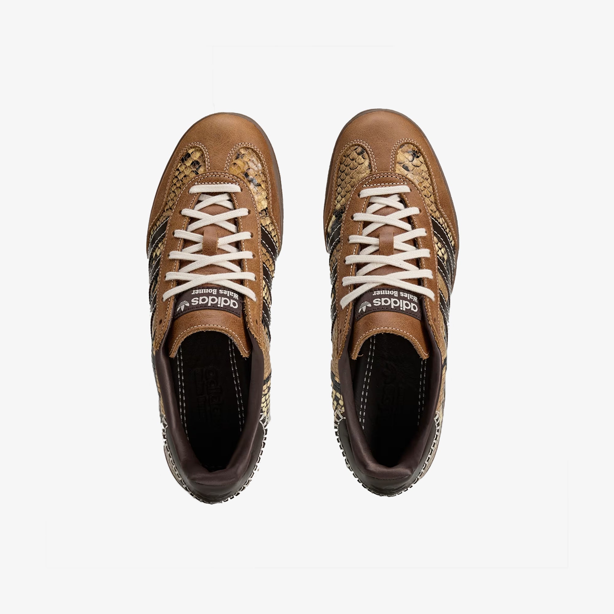 ADIDAS x Wales Bonner: Wb Gazelle Snake (Lust) | DSMG E-SHOP