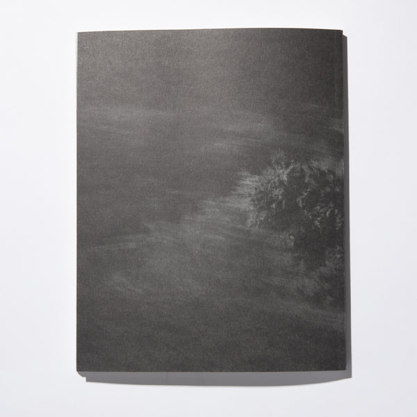 STACKS BOOKSTORE COLLIN SUSSINGHAM DISAPPEAR INTO EARTH