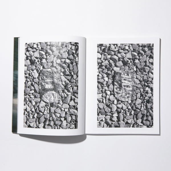 STACKS BOOKSTORE COLLIN SUSSINGHAM DISAPPEAR INTO EARTH