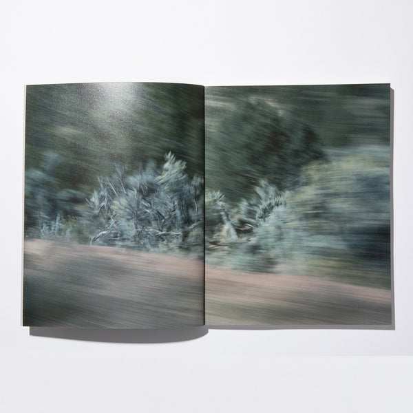 STACKS BOOKSTORE COLLIN SUSSINGHAM DISAPPEAR INTO EARTH
